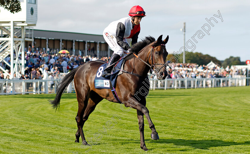 Makinmedoit-0001 
 MAKINMEDOIT (Hayley Turner)
Yarmouth 14 Sep 2022 - Pic Steven Cargill / Racingfotos.com