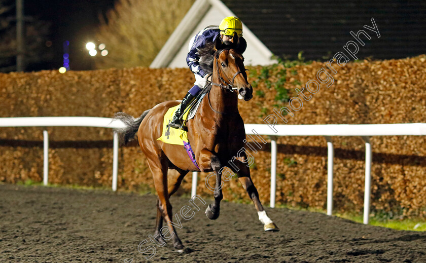 Happy-Banner-0006 
 HAPPY BANNER (Hector Crouch) winner of The Unibet British Stallion Studs EBF Novice Stakes Div1 
Kempton 11 Dec 2024 - Pic Steven Cargill / Racingfotos.com