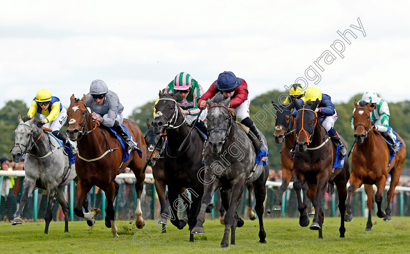 Tiber-Flow-0002 
 TIBER FLOW (Tom Marquand) wins The Betfred John Of Gaunt Stakes
Haydock 8 Jun 2024 - Pic Steven Cargill / Racingfotos.com