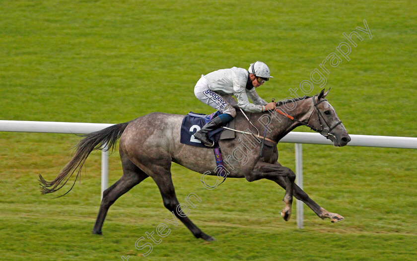 Camouflaged-0004 
 CAMOUFLAGED (David Probert) wins The Shadow Scaffolding Handicap
Chepstow 9 Jul 2020 - Pic Steven Cargill / Racingfotos.com