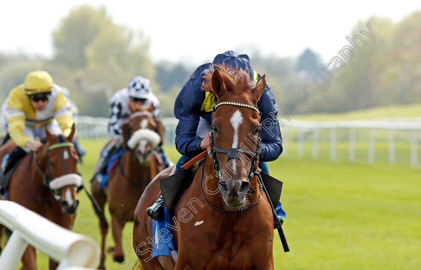 Al-Mubhir-0003 
 AL MUBHIR (William Buick) wins The Madri Excepcional King Richard III Cup Handicap
Leicester 29 Apr 2023 - Pic Steven Cargill / Racingfotos.com