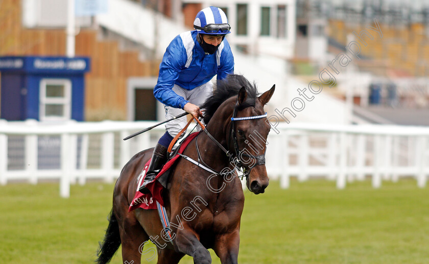 Al-Aasy-0001 
 AL AASY (Jim Crowley) winner of The Al Rayyan Aston Park Stakes
Newbury 15 May 2021 - Pic Steven Cargill / Racingfotos.com