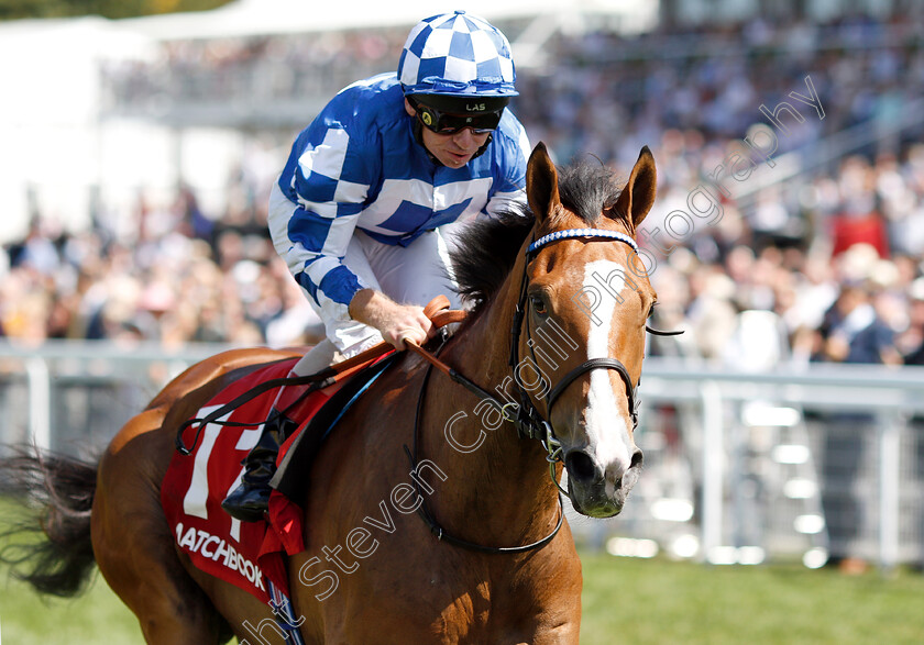 Soto-Sizzler-0005 
 SOTO SIZZLER (Jimmy Quinn) wins The Move Over To Matchbook Handicap
Goodwood 1 Aug 2018 - Pic Steven Cargill / Racingfotos.com