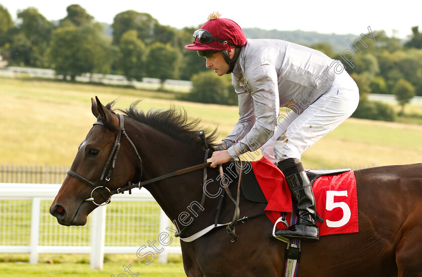 Lawaa-0002 
 LAWAA (Tony Hamilton)
Epsom 4 Jul 2019 - Pic Steven Cargill / Racingfotos.com