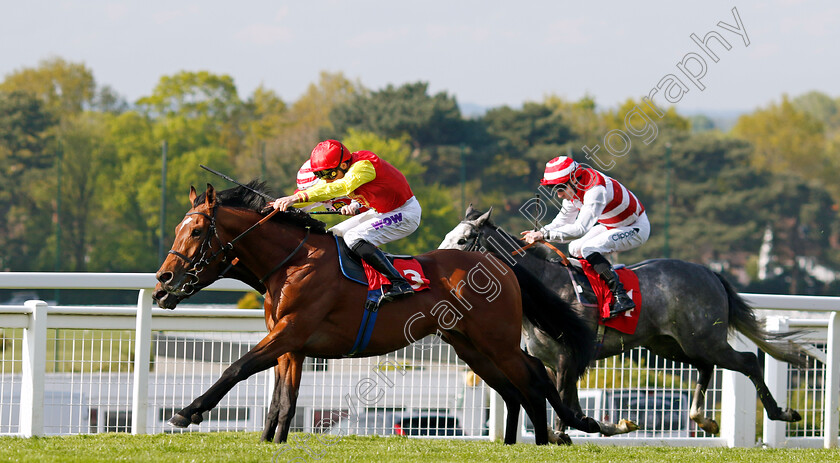 Goodwood-Odyssey-0003 
 GOODWOOD ODYSSEY (Kieran Shoemark) wins The Nordoff & Robbins Judy Martin Memorial Handicap
Sandown 26 Apr 2024 - Pic Steven Cargill / Racingfotos.com