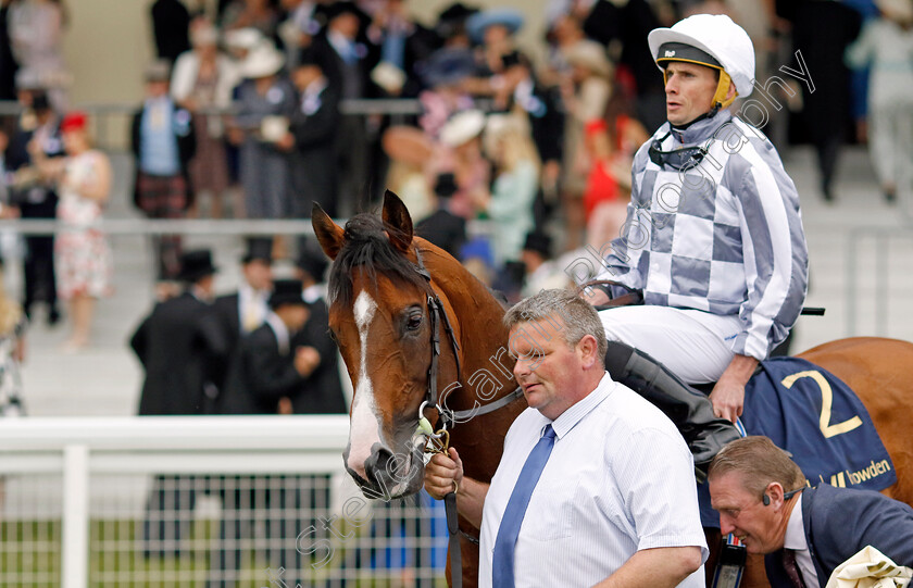 Broome-0008 
 BROOME (Ryan Moore) after The Hardwicke Stakes
Royal Ascot 18 Jun 2022 - Pic Steven Cargill / Racingfotos.com