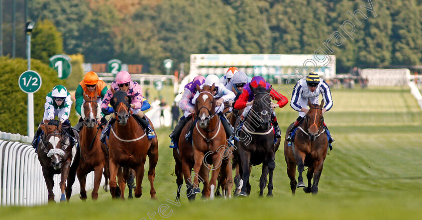 Justice-Lady-0003 
 JUSTICE LADY (2nd right, Shane Kelly) beats SUPER JULIUS (3rd right) and BAHAMIAN SUNRISE (3rd left) in The Betfinder By BetBright Handicap Sandown 2 Sep 2017 - Pic Steven Cargill / Racingfotos.com