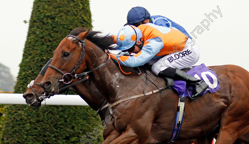 Jaywalker-0004 
 JAYWALKER (Martin Harley) wins The Matchbook Casino Handicap Kempton 25 Sep 2017 - Pic Steven Cargill / Racingfotos.com