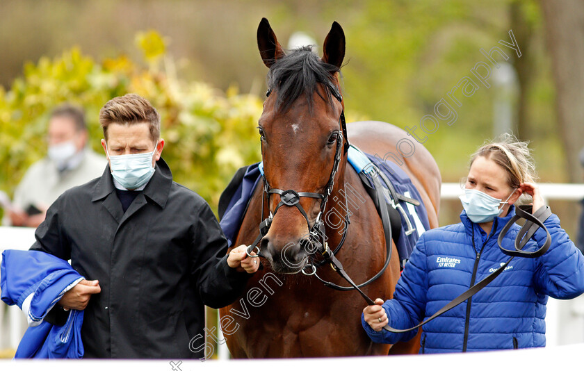 Adayar-0002 
 ADAYAR 
Lingfield 8 May 2021 - Pic Steven Cargill / Racingfotos.com