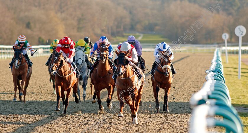 Rivas-Rob-Roy-0002 
 RIVAS ROB ROY (2nd right, Kieran Shoemark) beats CORRIDA DE TOROS (2nd left) in The Bombardier British Hopped Amber Beer Handicap Div2
Lingfield 26 Feb 2021 - Pic Steven Cargill / Racingfotos.com