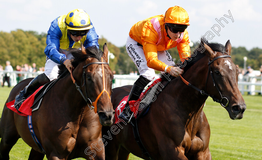 Rajinsky-0008 
 RAJINSKY (right, Tom Dascombe) beats WALKINTHESAND (left) in The Bet & Watch At 188bet.co.uk EBF Maiden Stakes Div1
Sandown 31 Aug 2018 - Pic Steven Cargill / Racingfotos.com