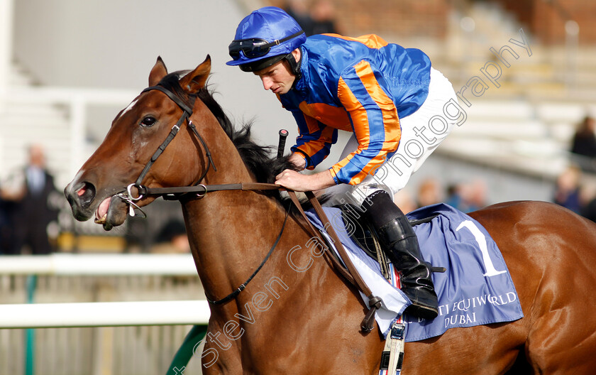 Bubbling-0007 
 BUBBLING (Ryan Moore) winner of The Al Basti Equiworld Dubai Rockfel Stakes
Newmarket 27 Sep 2024 - Pic Steven Cargill / Racingfotos.com