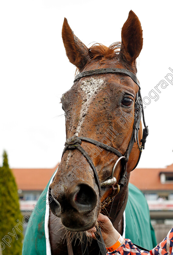 Savethelastdance-0012 
 SAVETHELASTDANCE winner of The Weatherbys Digital Solutions Cheshire Oaks
Chester 10 May 2023 - Pic Steven Cargill / Racingfotos.com