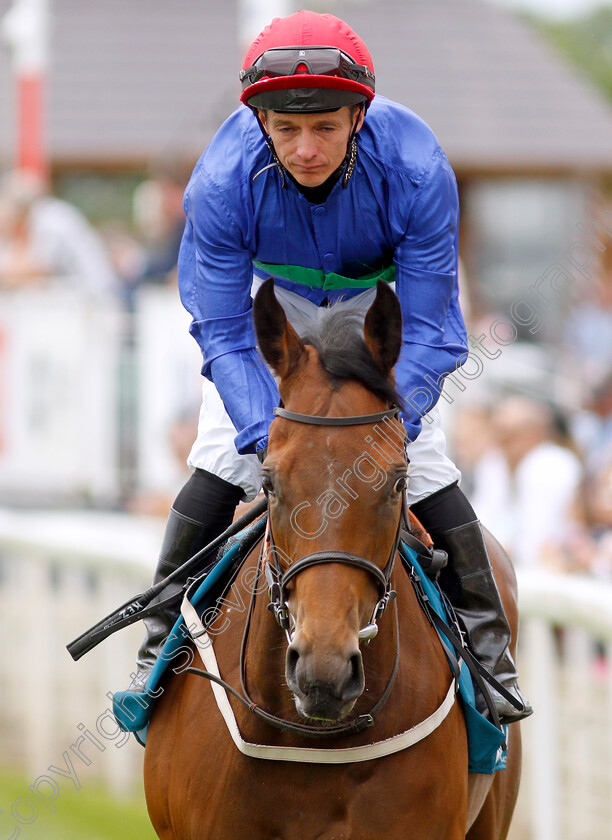 Spirit-Of-Applause-0001 
 SPIRIT OF APPLAUSE (David Allan)
York 17 Jun 2023 - Pic Steven Cargill / Racingfotos.com