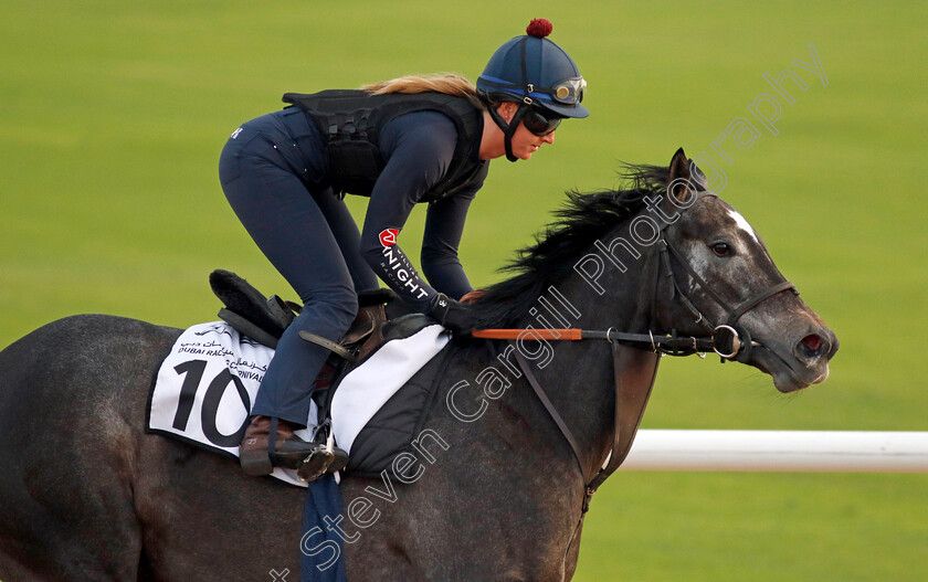 Frost-At-Dawn-0001 
 FROST AT DAWN training at the Dubai Racing Carnival
Meydan 1 Mar 2024 - Pic Steven Cargill / Racingfotos.com