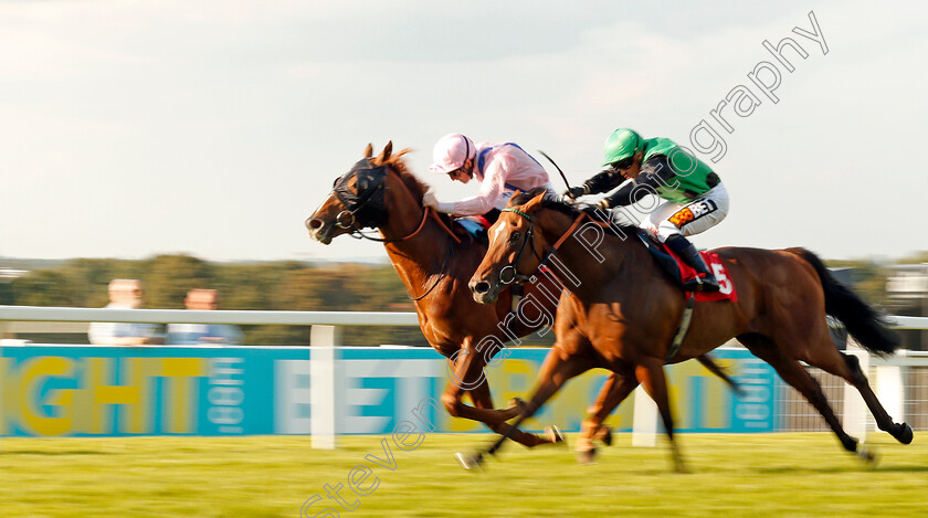 Glorious-Forever-0002 
 GLORIOUS FOREVER (Pat Cosgrave) beats SWILLY SUNSET (right) in The BetBright Handicap Sandown 2 Sep 2017 - Pic Steven Cargill / Racingfotos.com