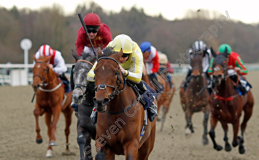 Oh-So-Grand-0001 
 OH SO GRAND (Jack Mitchell) wins The Betmgm Winter Oaks Fillies Handicap
Lingfield 20 Jan 2024 - Pic Steven Cargill / Racingfotos.com