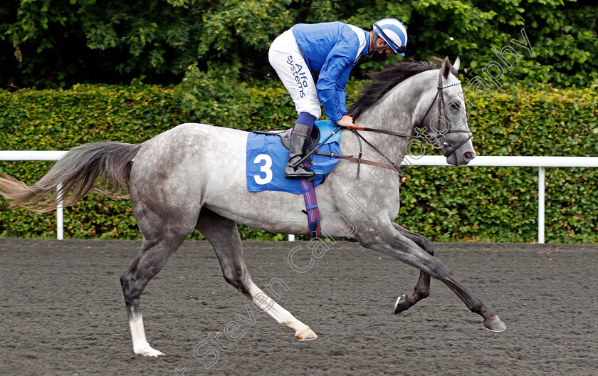 Monaajez-0001 
 MONAAJEZ (Jim Crowley)
Kempton 2 Jun 2021 - Pic Steven Cargill / Racingfotos.com