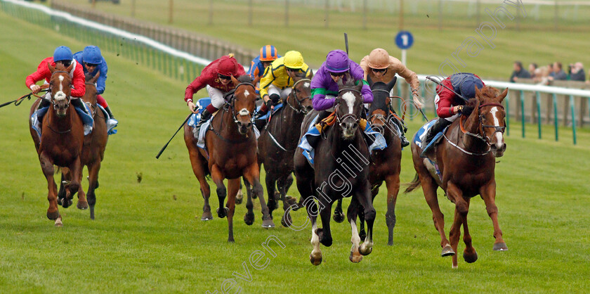 Ville-De-Grace-0001 
 VILLE DE GRACE (centre, Richard Kingscote) beats LILAC ROAD (right) in The Newmarket Pony Academy Pride Stakes
Newmarket 8 Oct 2021 - Pic Steven Cargill / Racingfotos.com