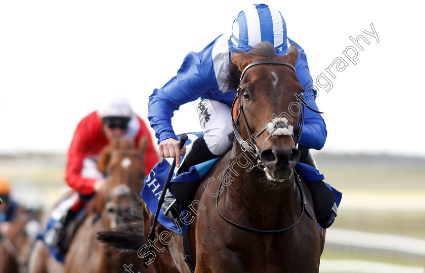 Mustashry-0007 
 MUSTASHRY (Jim Crowley) wins The Shadwell Joel Stakes
Newmarket 28 Sep 2018 - Pic Steven Cargill / Racingfotos.com