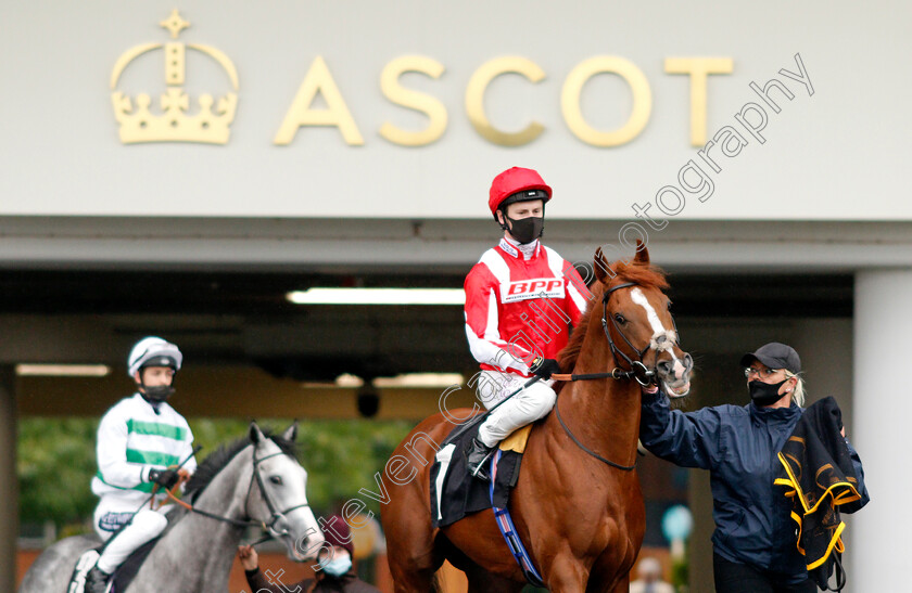 Berkshire-Rocco-0001 
 BERKSHIRE ROCCO (Oisin Murphy) before winning The Teentech Noel Murless Stakes
Ascot 2 Oct 2020 - Pic Steven Cargill / Racingfotos.com