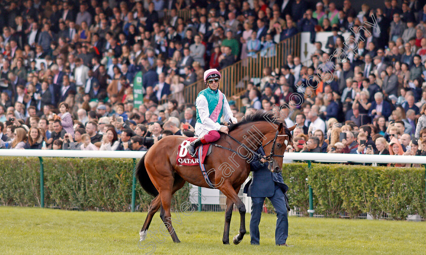 Enable-0001 
 ENABLE (Frankie Dettori) before the Qatar Prix de l'Arc de Triomphe
Longchamp 6 Oct 2019 - Pic Steven Cargill / Racingfotos.com