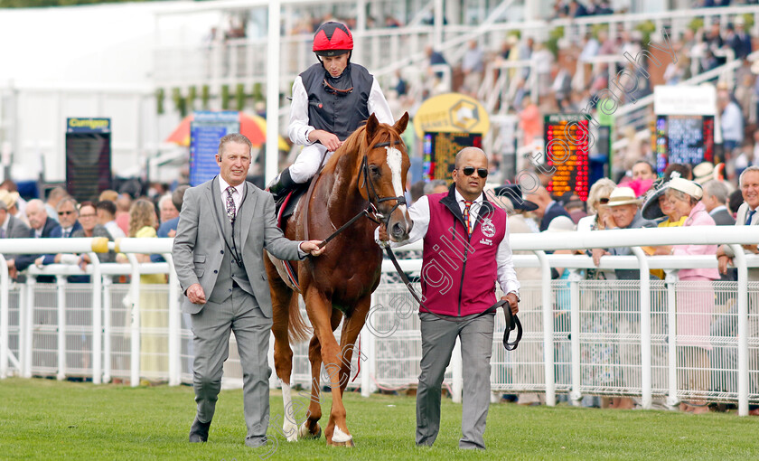 Kyprios-0007 
 KYPRIOS (Ryan Moore) winner of The Al Shaqab Goodwood Cup
Goodwood 26 Jul 2022 - Pic Steven Cargill / Racingfotos.com