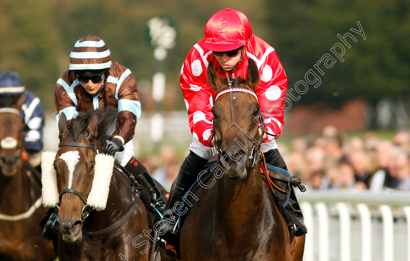 Curious-Fox-0005 
 CURIOUS FOX (David Probert) wins The Netbet Betmaker Fillies Handicap
Goodwood 4 Sep 2018 - Pic Steven Cargill / Racingfotos.com