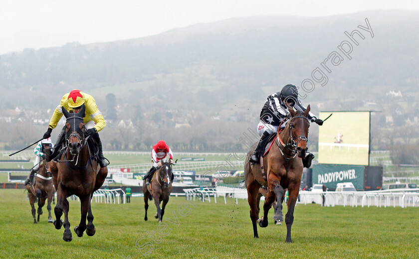 Protektorat-0002 
 IMPERIAL ALCAZAR (right, Paddy Brennan) beats PROTEKTORAT (left) in The Ballymore Novices Hurdle
Cheltenham 1 Jan 2020 - Pic Steven Cargill / Racingfotos.com