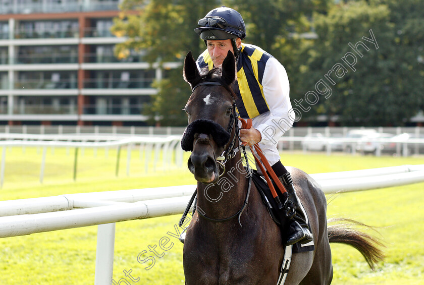 East-Coast-Swing-0001 
 EAST COAST SWING (John Egan)
Newbury 17 Aug 2018 - Pic Steven Cargill / Racingfotos.com