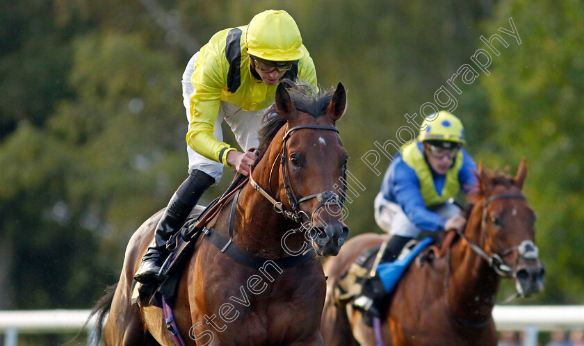 Terwada-0001 
 TERWADA (James Doyle) wins The Every Race Live On Racing TV Handicap
Newmarket 28 Jul 2023 - Pic Steven Cargill / Racingfotos.com