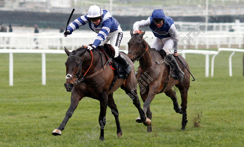 Frodon-0004 
 FRODON (Bryony Frost) wins The Caspian Caviar Gold Cup Handicap Chase
Cheltenham 15 Dec 2018 - Pic Steven Cargill / Racingfotos.com