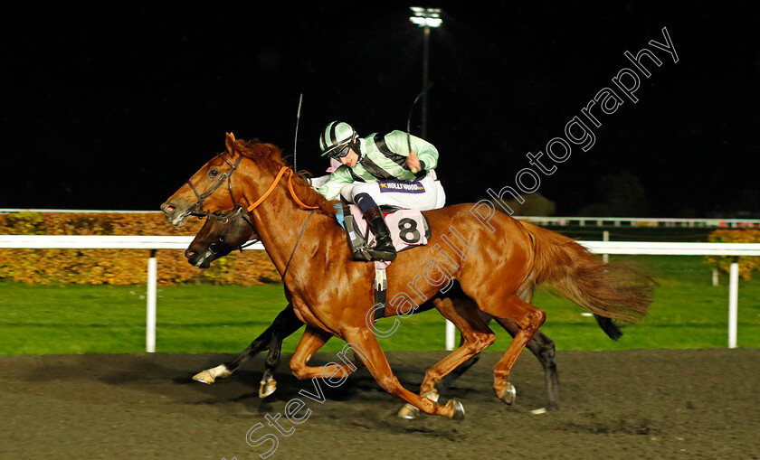 Like-A-Tiger-0001 
 LIKE A TIGER (Daniel Muscutt) wins The Unibet British Stallion Studs EBF Novice Stakes Div1
Kempton 16 Nov 2022 - Pic Steven Cargill / Racingfotos.com