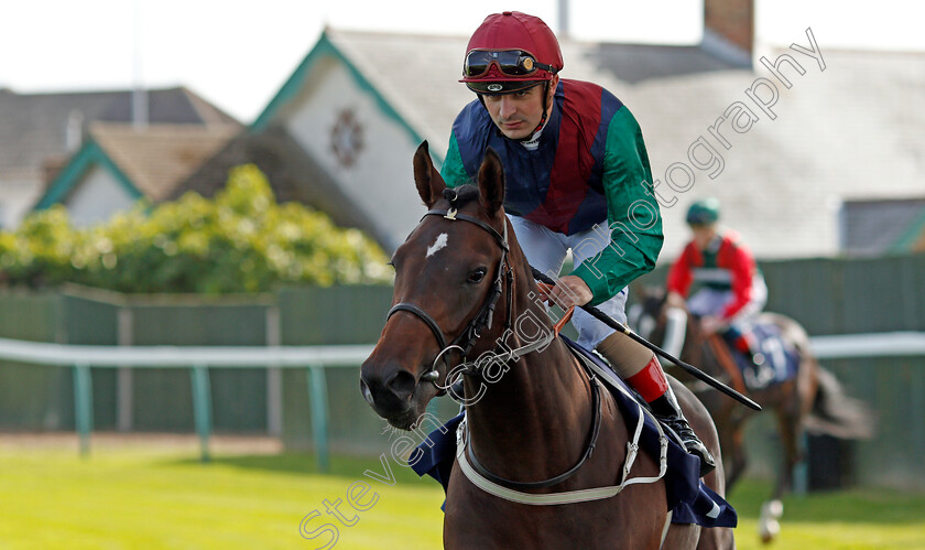 Striding-Edge-0001 
 STRIDING EDGE (Andrea Atzeni)
Yarmouth 17 Sep 2019 - Pic Steven Cargill / Racingfotos.com