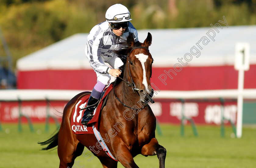 Lily-Hart-0003 
 LILY HART (Yutake Take)
Longchamp 5 Oct 2034 - Pic Steven Cargill / Racingfotos.com