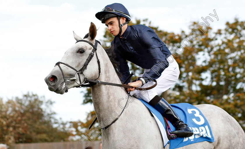 Frosty-0001 
 FROSTY (Donnacha O'Brien)
Newmarket 12 Oct 2018 - Pic Steven Cargill / Racingfotos.com