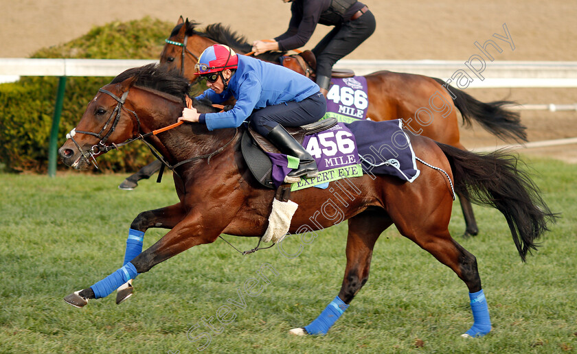 Expert-Eye-0002 
 EXPERT EYE (Frankie Dettori) exercising ahead of The Breeders' Cup Mile
Churchill Downs USA 31 Oct 2018 - Pic Steven Cargill / Racingfotos.com