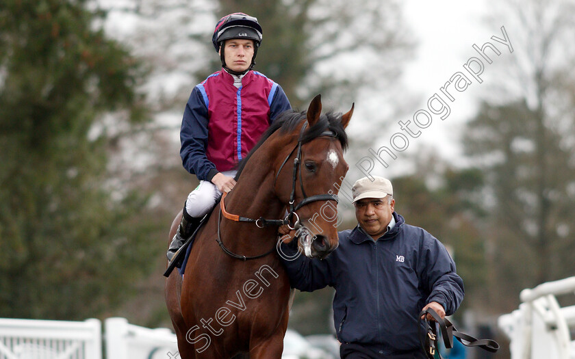 North-Face-0002 
 NORTH FACE (Luke Morris)
Lingfield 5 Dec 2018 - Pic Steven Cargill / Racingfotos.com