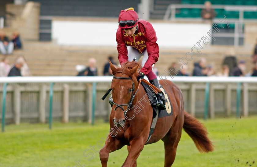 Palace-Green-0001 
 PALACE GREEN (Oisin Murphy)
Newmarket 25 Oct 2023 - Pic Steven Cargill / Racingfotos.com