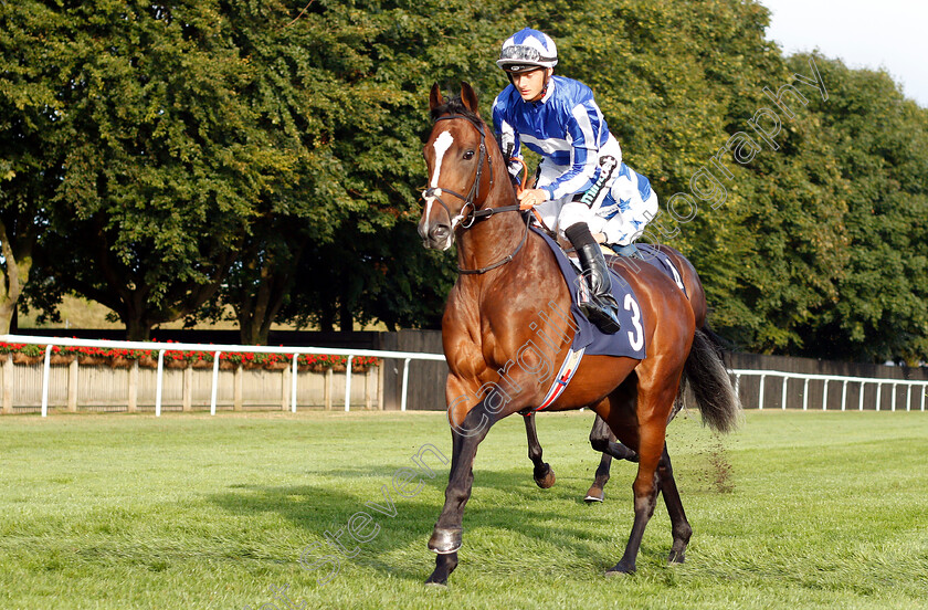 Buriram-0001 
 BURIRAM (Harry Bentley)
Newmarket 10 Aug 2018 - Pic Steven Cargill / Racingfotos.com