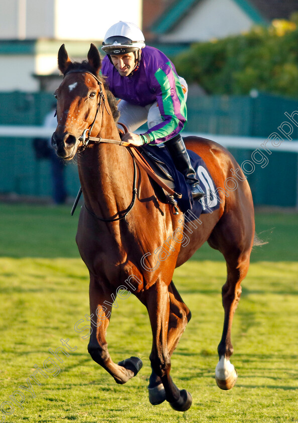 Island-Of-Skye-0001 
 ISLAND OF SKYE (Neil Callan)
Yarmouth 18 Oct 2022 - Pic Steven Cargill / Racingfotos.com