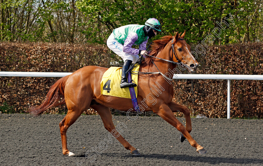 Lihou-0001 
 LIHOU (Richard Kingscote)
Kempton 5 Apr 2021 - Pic Steven Cargill / Racingfotos.com