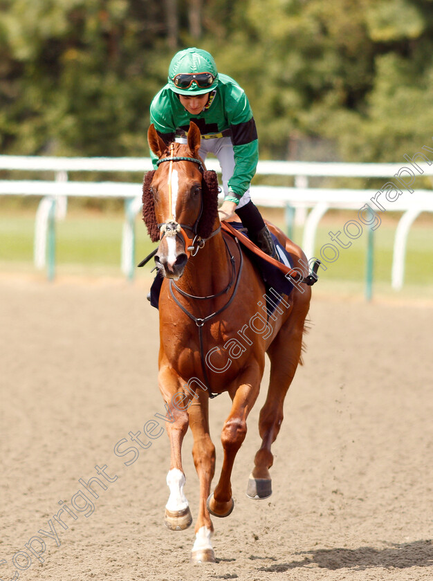 Twister-0002 
 TWISTER (Ryan Tate)
Lingfield 25 Jul 2018 - Pic Steven Cargill / Racingfotos.com