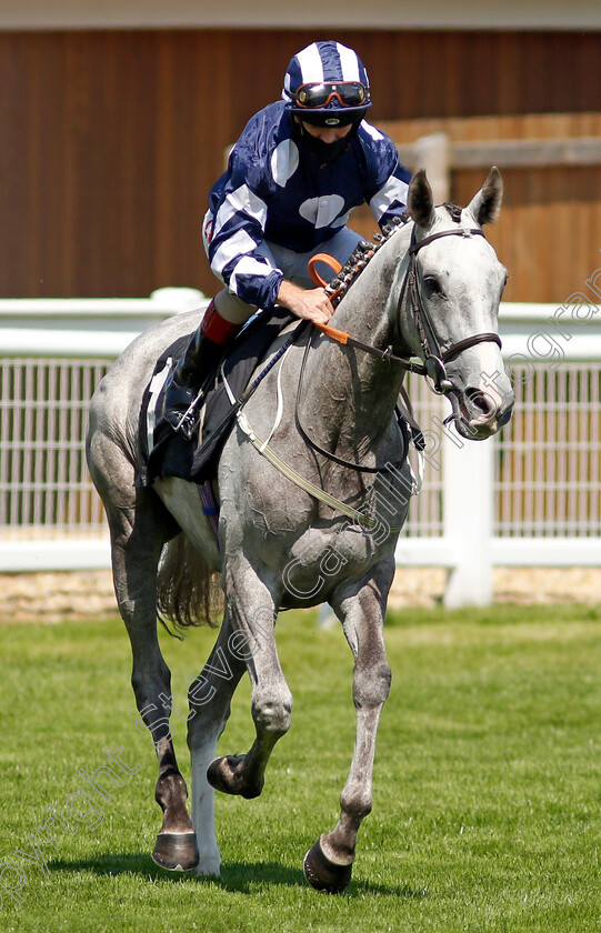 Military-Two-Step-0001 
 MILITARY TWO STEP (Franny Norton)
Newbury 16 Jul 2021 - Pic Steven Cargill / Racingfotos.com