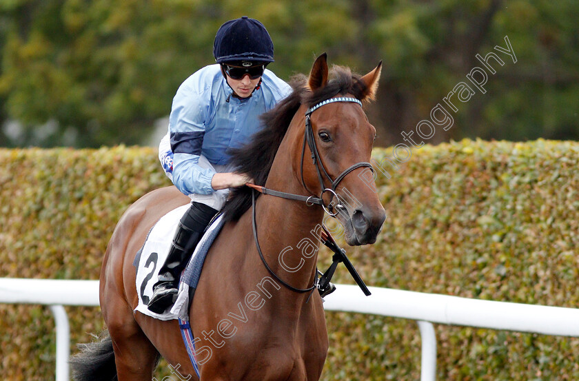 Eucalyptus-0001 
 EUCALYPTUS (David Probert)
Kempton 29 Aug 2018 - Pic Steven Cargill / Racingfotos.com