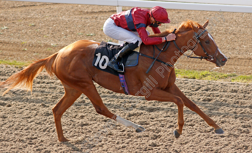 Sheila-0005 
 SHEILA (James Doyle) wins The tote.co.uk Free Streaming Every Uk Race Handicap Div2
Chelmsford 20 Sep 2020 - Pic Steven Cargill / Racingfotos.com