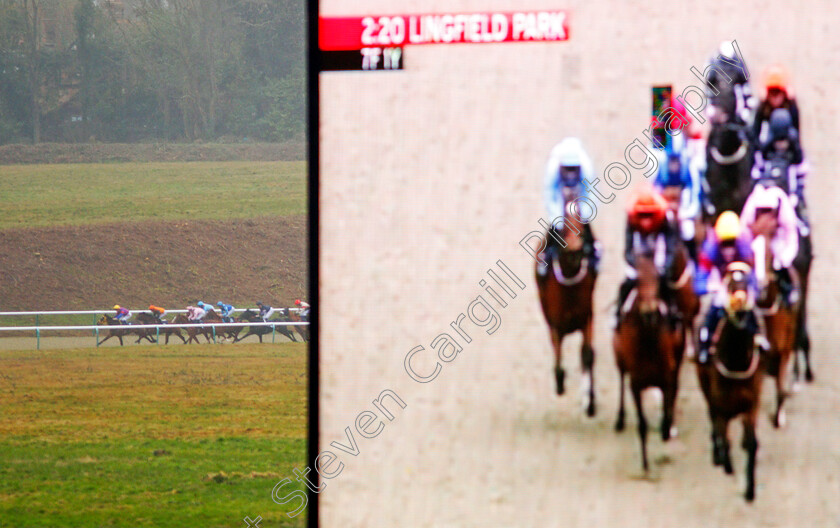 Marshal-Dan-0001 
 MARSHAL DAN (Luke Morris) in second place on his way to winning The 32Redpoker.com Handicap Lingfield 14 Feb 2018 - Pic Steven Cargill / Racingfotos.com