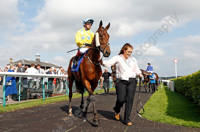 Lismore-0001 
 LISMORE (Frankie Dettori)
Doncaster 11 Sep 2022 - Pic Steven Cargill / Racingfotos.com