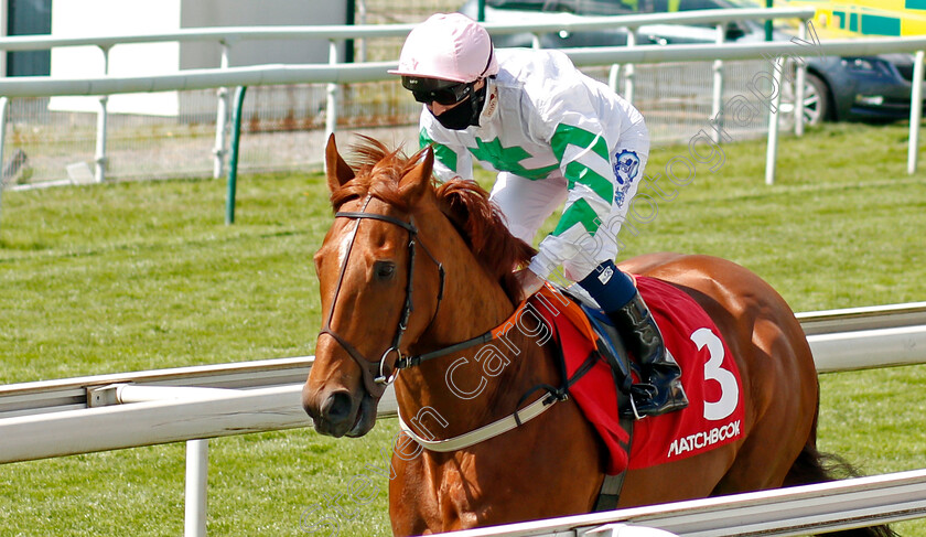 Venturous-0001 
 VENTUROUS (Connor Beasley)
York 13 May 2021 - Pic Steven Cargill / Racingfotos.com