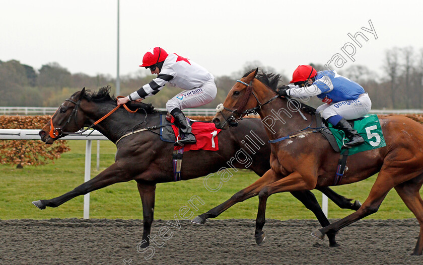 Study-The-Stars-0005 
 STUDY THE STARS (P J McDonald) beats BEIJA FLOR (right) in The Join Racing TV Now Handicap
Div 1
Kempton 31 Mar 2021 - Pic Steven Cargill / Racingfotos.com